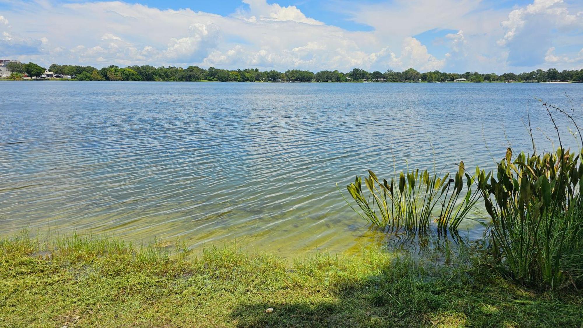 Lakeside Lofts At Lake Martha Уинтер-Хейвен Экстерьер фото